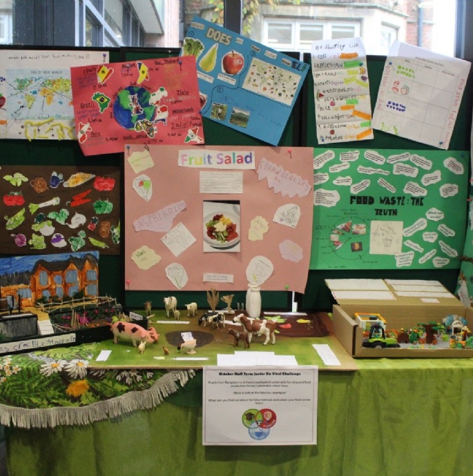 News » Whole School Junior Da Vinci Sustainability Challenge